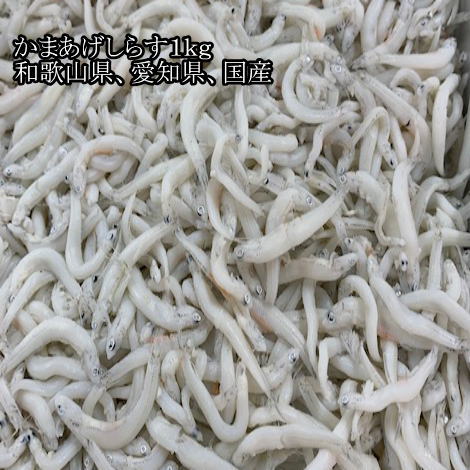 ギフト かまあげしらす１ｋｇ和歌山県、愛知県篠島産 中サイズ 美品 加工品 | antiguaboreal.com