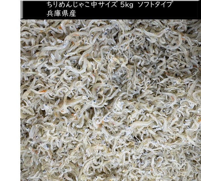緊急特売 ちりめんじゃこ 5kg 兵庫県淡路産 中サイズ 送料無料 ソフトタイプ|京の魚河岸『かねきゅう』