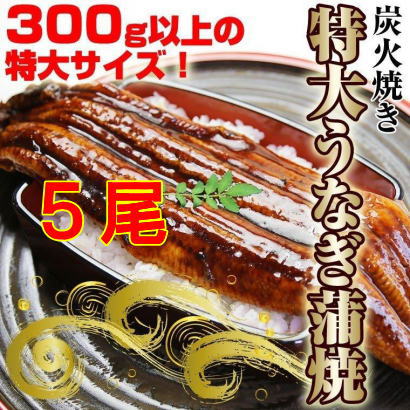 【楽天市場】【限定販売】特大うなぎ蒲焼１匹（中国産）300g以上 業務用 お試し 【RCP】/お中元/父の日/02P06Aug16 :  京の魚河岸『かねきゅう』