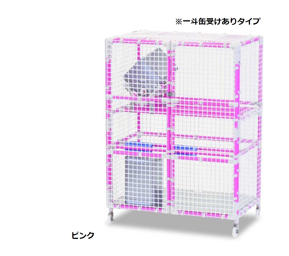 猫特集！＼カネマサは猫を助けることしています／