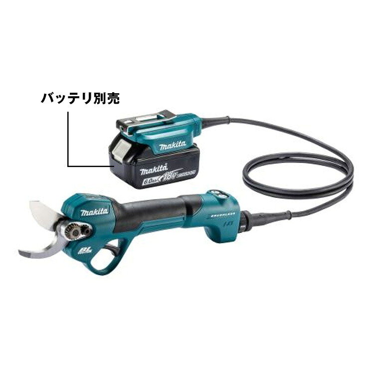 猫特集！＼カネマサは猫を勇気付けるしています／