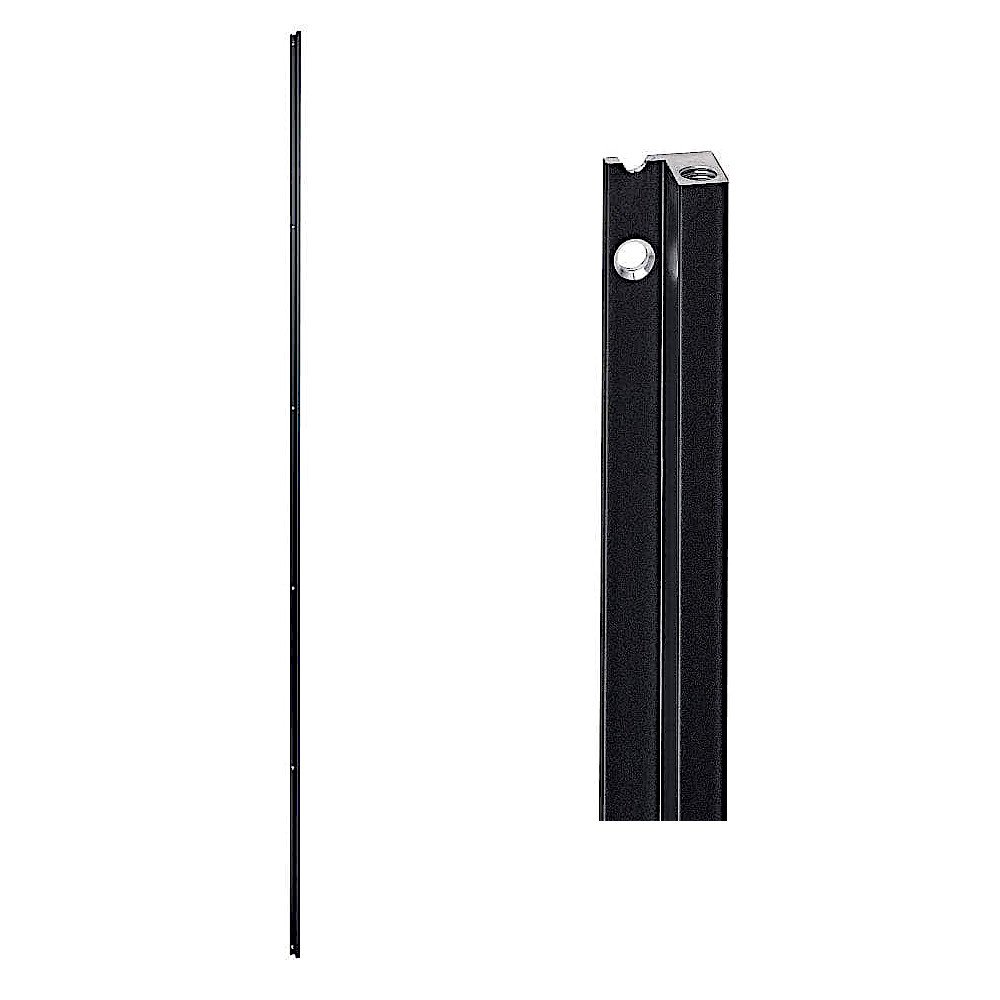 猫特集！＼カネマサは猫を助けることしています／