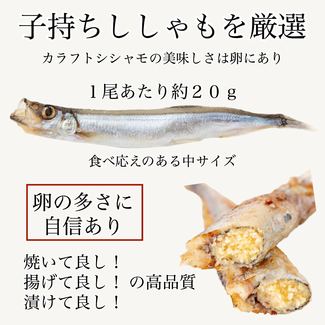 訳あり 子持ち ししゃも 500g(約30尾入り) カラフトシシャモ 2個購入