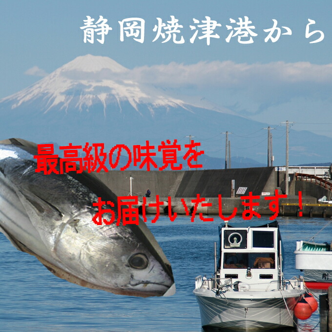 公式 お中元 敬老の日 カツオのたたき ９kg 詰め合わせ 3人前〜4人前 × 30〜40本入り トロ カツオ タタキ 鰹たたき かつおたたき 海鮮  残暑見舞い 暑中見舞い 鮮度抜群 お取り寄せ グルメ 内祝い お歳暮 贈答用 ギフト 戻りカツオ 刺身 送料無料 fucoa.cl