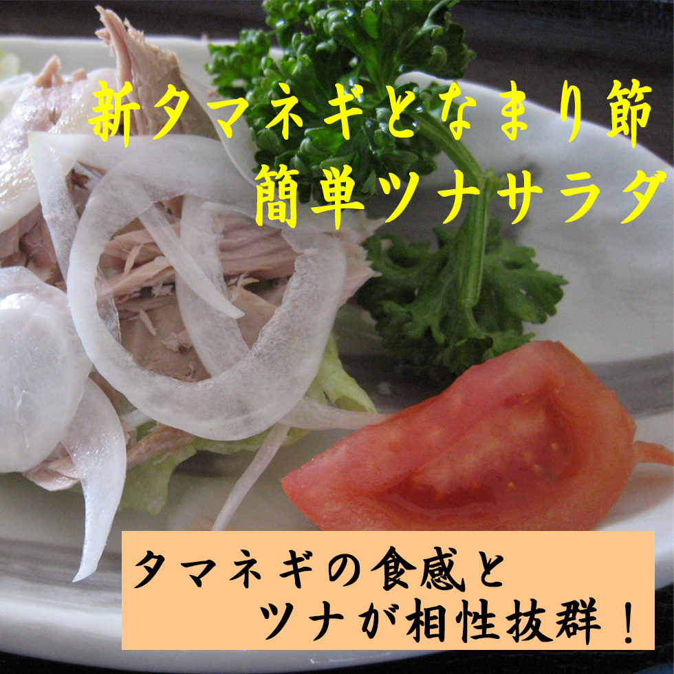 今だけスーパーセール限定 鰹 なまり節 業務用 15kg〜 焼津 カネオト 厳選 〜 かつお なまりぶし 無添加 自然食品 モチかつお 戻り鰹 とろ カツオ 使用 スローフード 名産品 焼津土産 手作り 職人の技 猫 まんまクール便 冷蔵 fucoa.cl