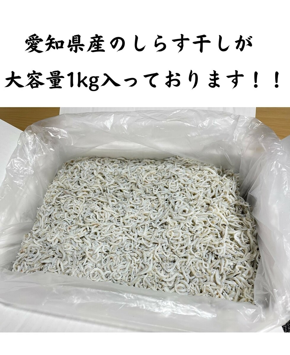 市場 愛知県産 １ｋｇ しらす干し ちりめん