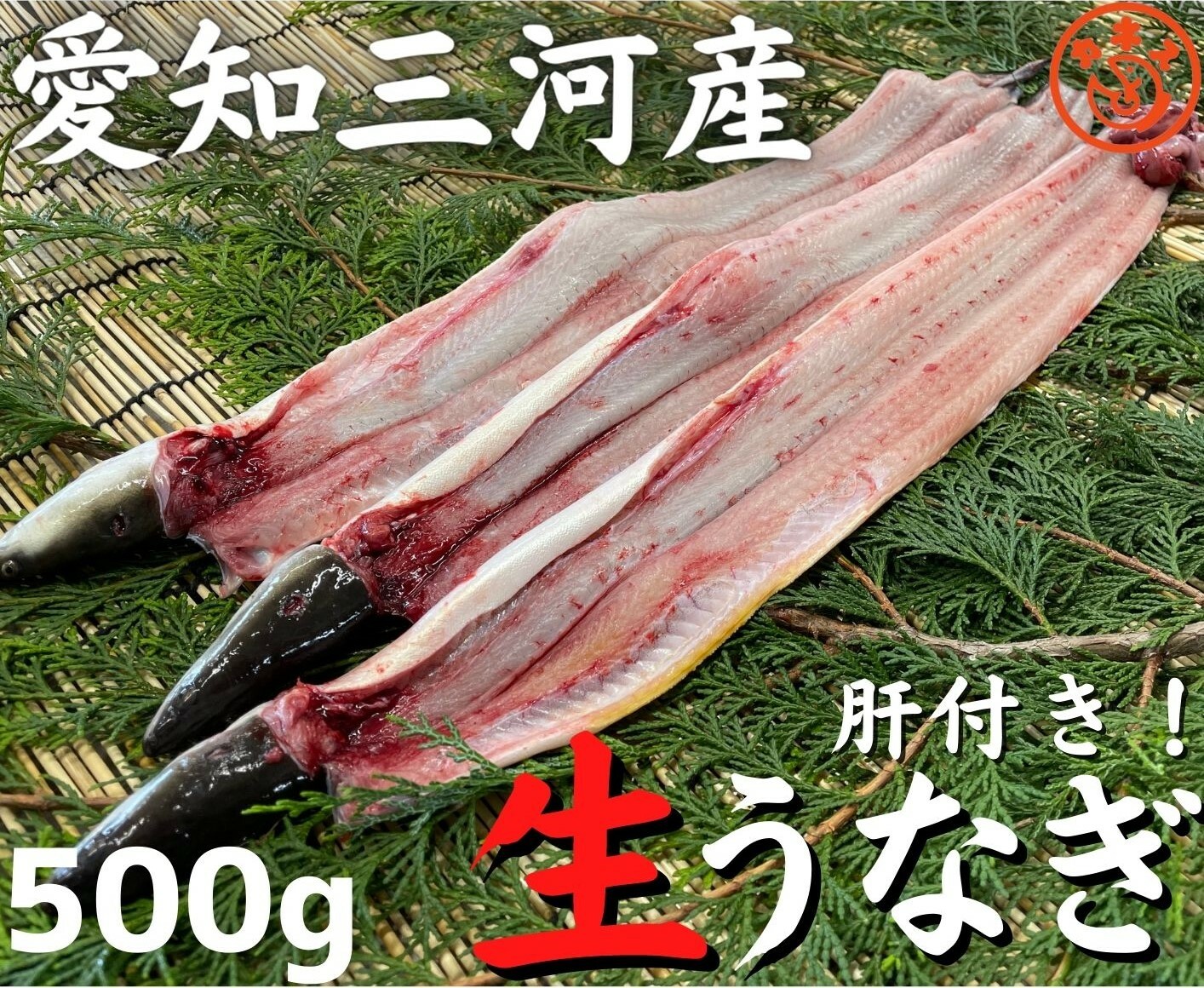 楽天市場】【国産】生うなぎ 【愛知三河産】約１ｋｇ ４〜５人前 生開