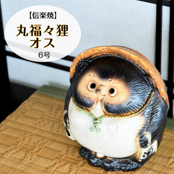 信楽焼　メスだぬきセット Amazon.co.jp: 信楽焼 たぬき【6号メス丸福々タヌキ ta-0333