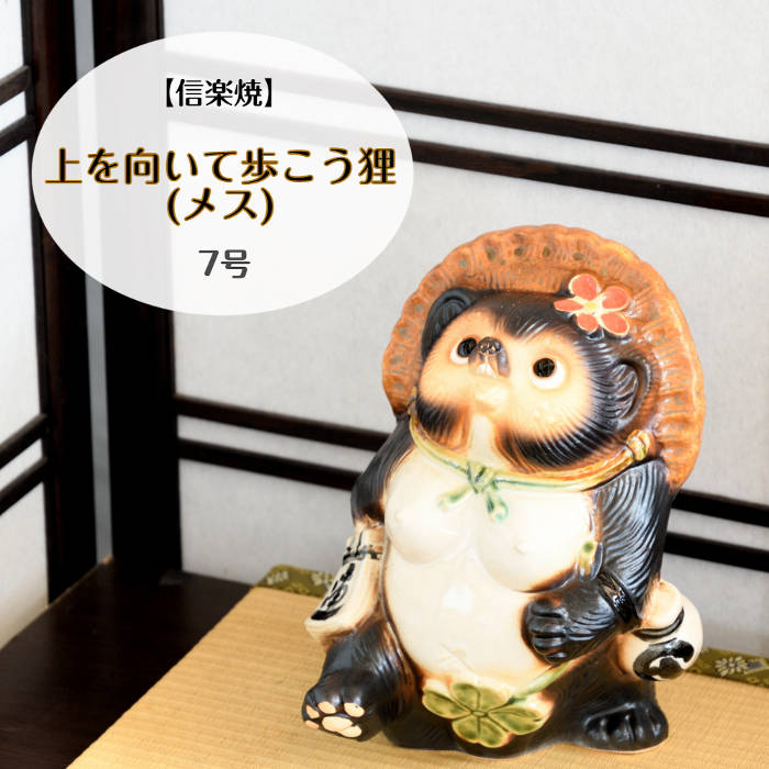 楽天市場】信楽焼 陶器 たぬき 交通安全狸 交通安全祈願 バイク