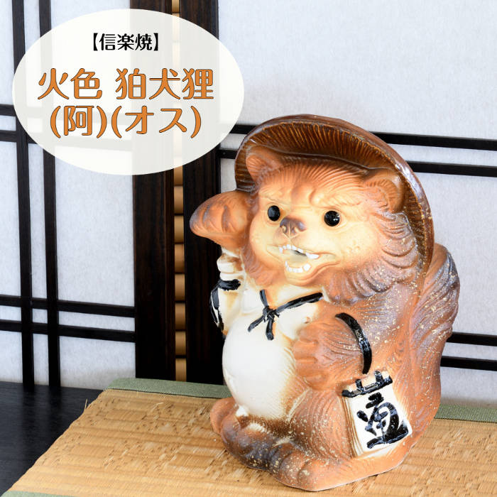 たぬきち！ 4gN55GUd_200x200.jpg