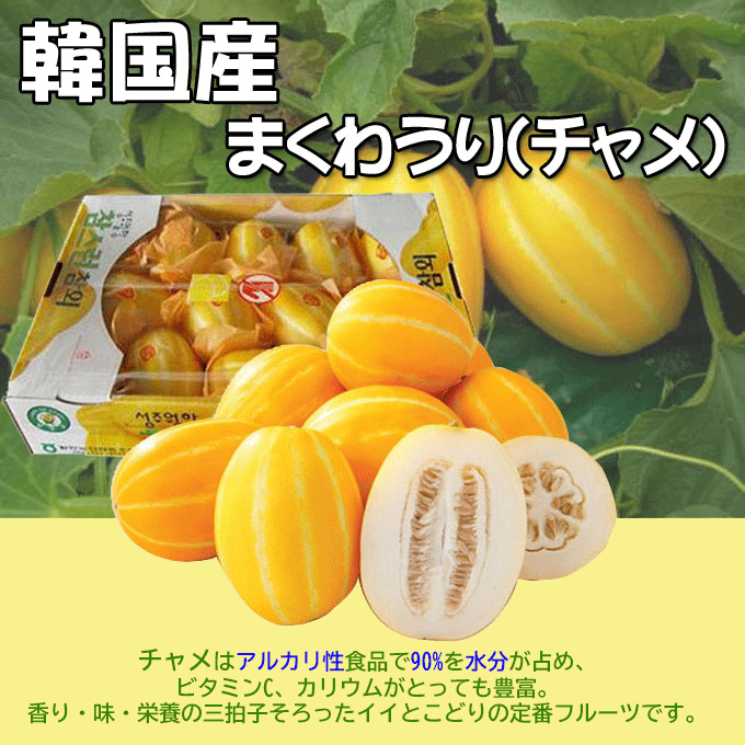 楽天市場】【今だけの季節限定☆韓国産入荷】冷蔵 チャメ (1.2kg