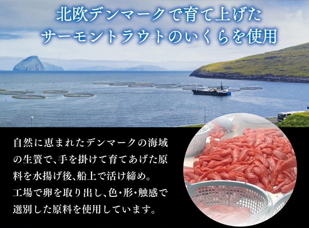 楽天市場 いくら醤油漬 サーモントラウト 卵 500g 250g 2パック入り 北欧サーモン いくら イクラ 小粒 海鮮 丼 手巻き ちらし 寿司 父の日 御中元 お中元 カニパラダイス