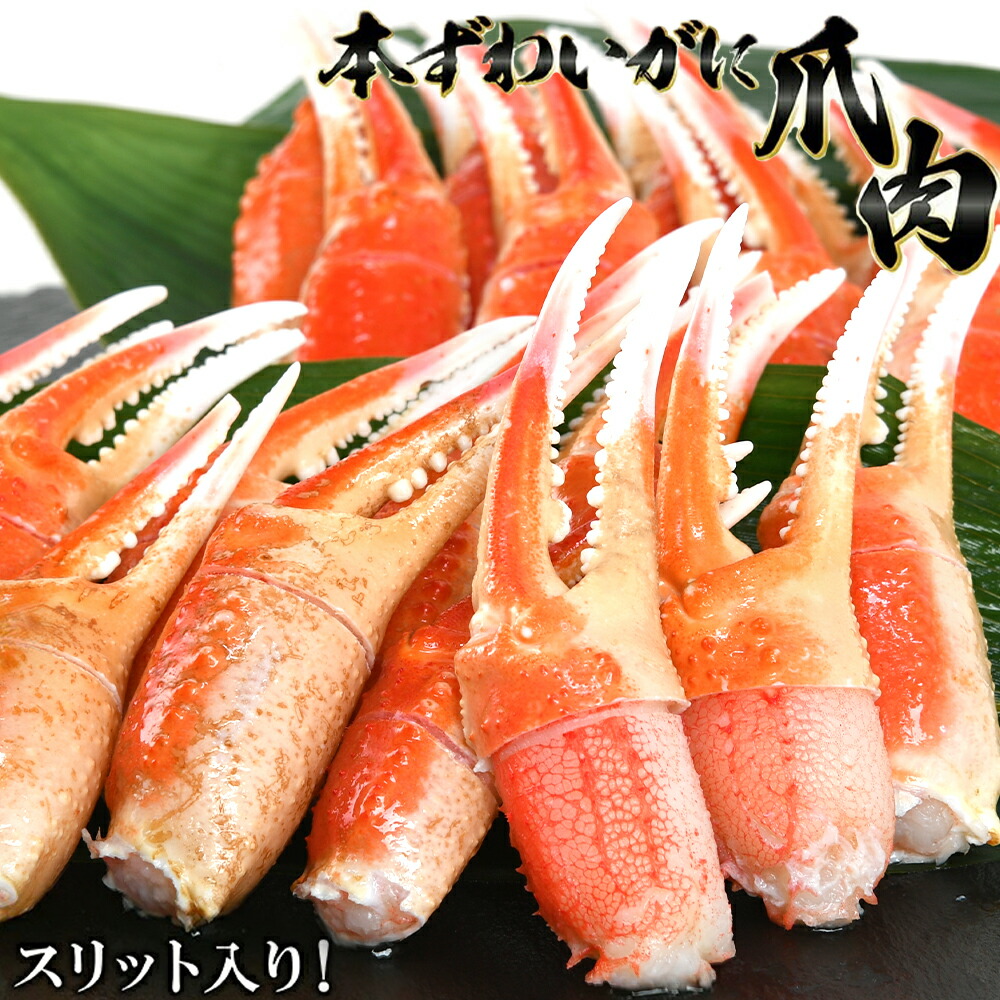 ずわいがに 殻付爪スリット入り かに爪 蟹爪 蟹 爪 かに カニ ボイル 海鮮丼 鍋 かに鍋 ズワイガニ 贈り物 お祝い のし対応 新生活 父の日 母の日 ギフト お取り寄せ