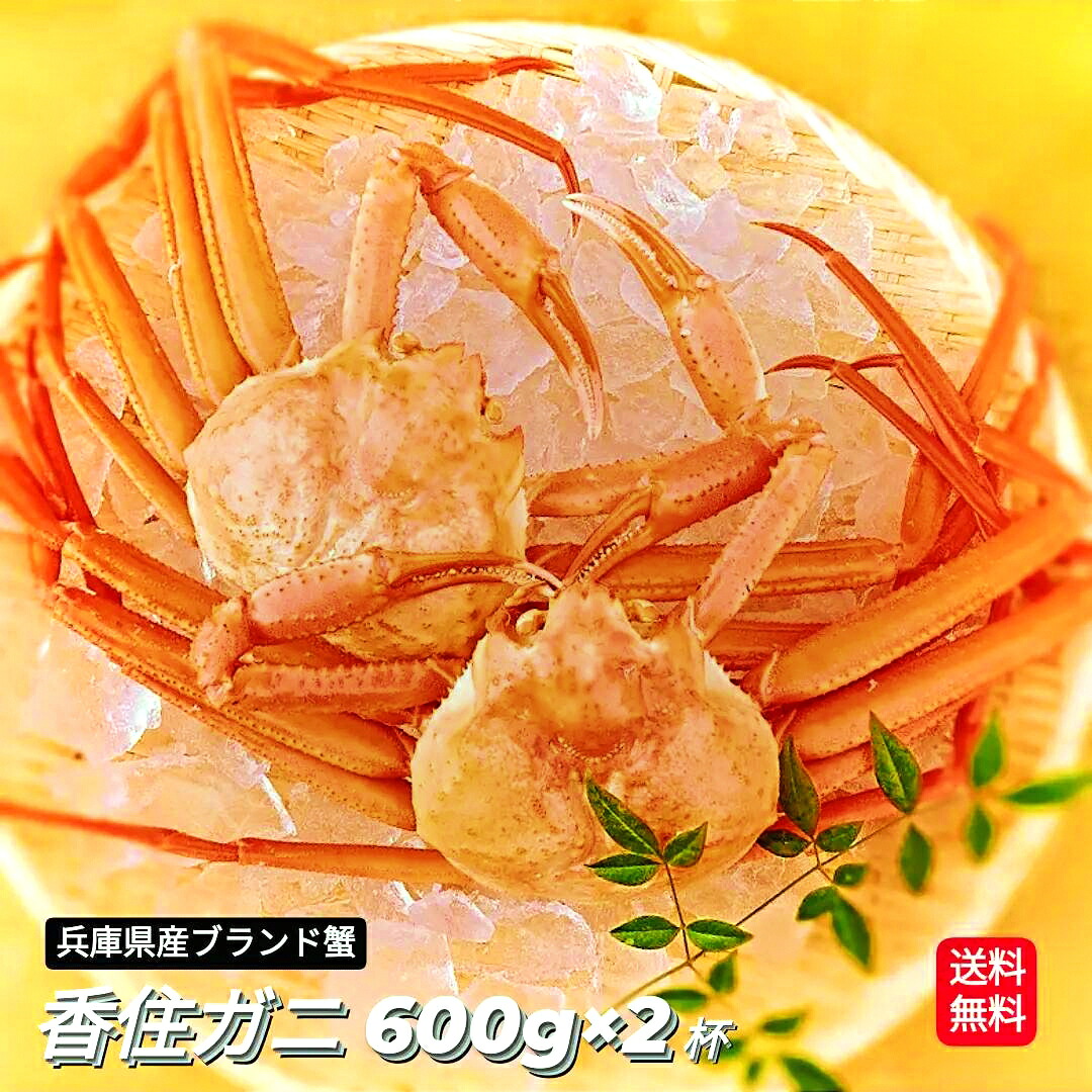 カニ 紅ズワイガニ 1.2kg 香住ガニ 姿 ボイル 整体 中サイズ 600g 2枚 香住蟹 解禁 【水揚げあり次第発送】 かに 紅ずわい ずわいがに 紅 ズワイガニ 2匹 セット 釜茹で 浜ゆで 茹でカニ 茹で 蟹 紅蟹 紅かに 兵庫県 香住漁港 2杯 大きめ 9月解禁