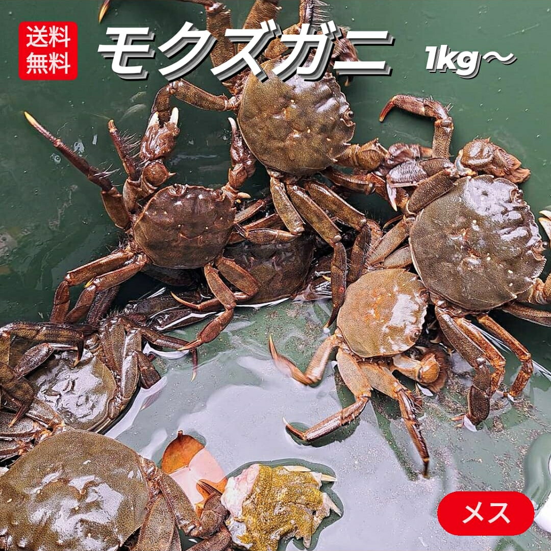 楽天市場】解禁 モクズガニ 天然 活 生 1kg 以上 メス 雌 7-8匹 上海ガニ 上海蟹 モクズ蟹 もくずがに サイズ混ざり 国産 兵庫県 藻屑蟹  藻くずガニ 川がに 川蟹 川ガニ ツガニ ツガネ ケガニ 川ガニ カワガニ ヤマタロウガニ ズガニ ガンチ ツガニ汁 蒸し