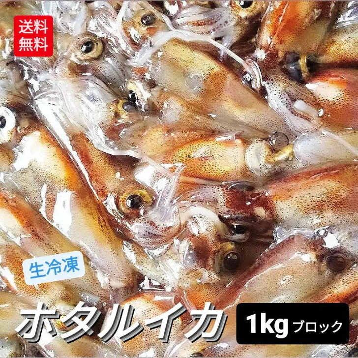 ホタルイカ 2025年 新物 A級 5kg 1kg 塊 ×5P 冷凍 生 ほたるいか 朝獲れ 薄型 ブロック 最安値に挑戦 お得用 釣り餌 薄型 真空パック 生冷凍 送料込 山陰浜坂産 蛍烏賊 日本海 業務用 お刺身 しゃぶしゃぶ用 新鮮 鮮度抜群 期間限定 母の日 お得用 大容量