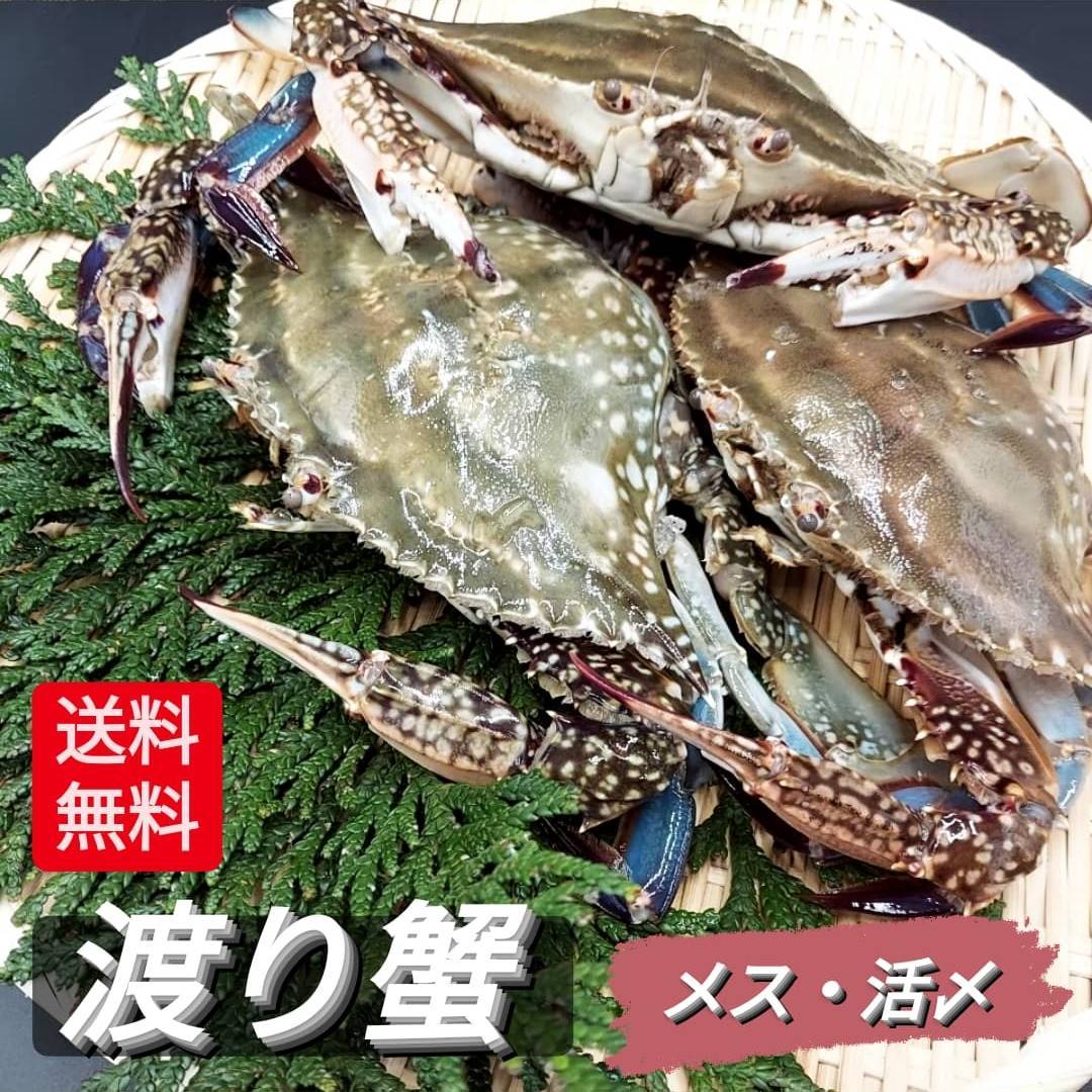 飾らずにワタリガニトランスポーテイション蟹 内子 牝牝 子持ち 訳あり 5 8盃 わたりがに かに 渡りガニ ガザミ カンジャンケジャン 伊勢湾 三河湾 愛知県 豊浜結成 新鮮 ワケあり 美食家 甲比い 生出デート 贈呈品 贈りもの品格 父上の日 御母様の日 お祝典 お中元