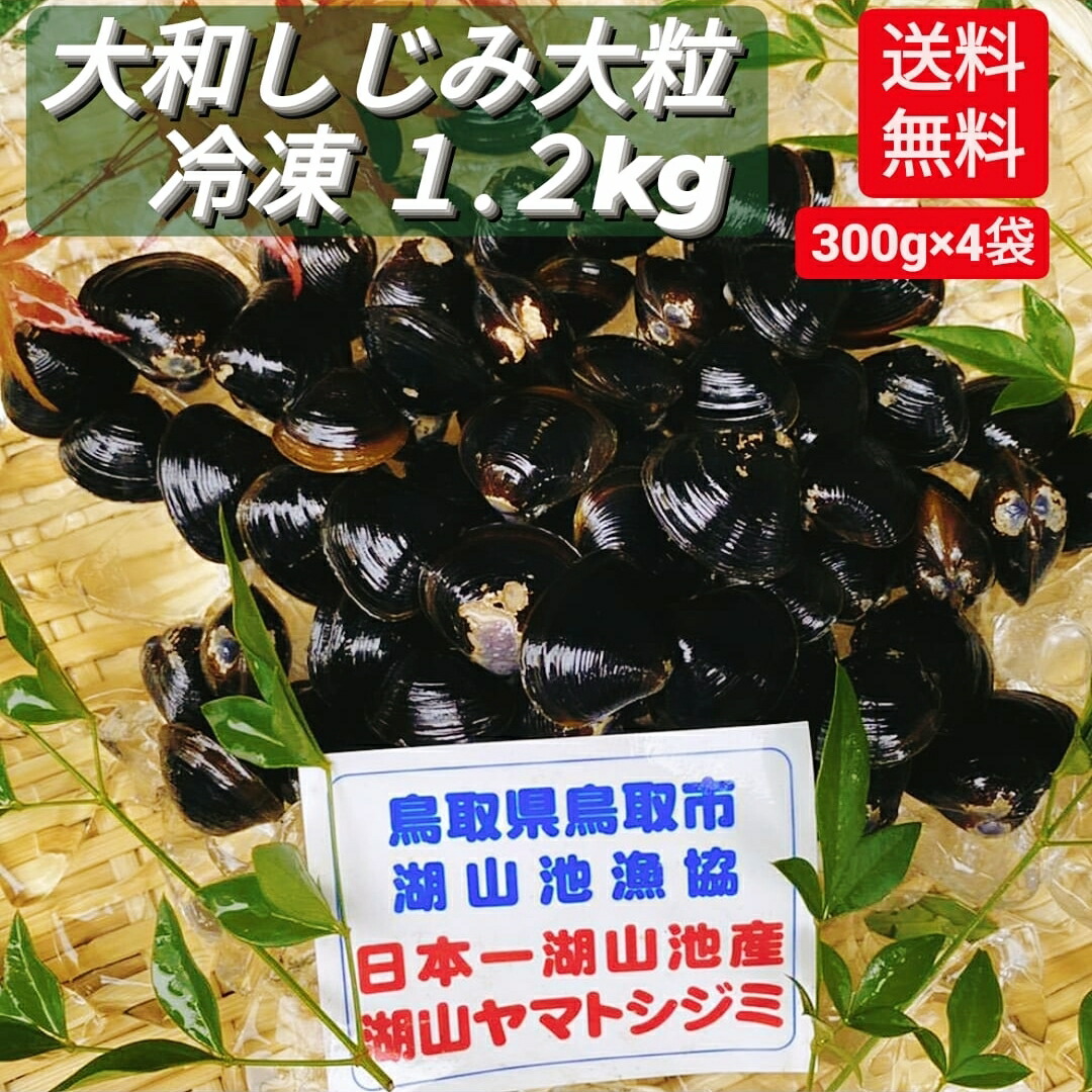 楽天市場 しじみ 大粒 大和 ヤマトシジミ 1 2kg 冷凍 天然 湖山 大しじみ 蜆 肉厚 鳥取県 湖山池産 オルニチン 貝 砂抜き不要 小分け 送料無料 クール便 レビュー 投稿 キャンペーン 対象 干し ホタルイカ お魚問屋 蟹ぷらす 楽天市場 しじみ 大粒 大和 ヤマトシジミ 1 2kg 冷凍 天然 湖山 大しじみ 蜆 肉厚 鳥取県 湖山池産 オルニチン 貝 砂抜き不要 小分け 送料無料 クール便 レビュー 投稿 キャンペーン 対象 干し ホタルイカ お魚問屋 蟹ぷらす