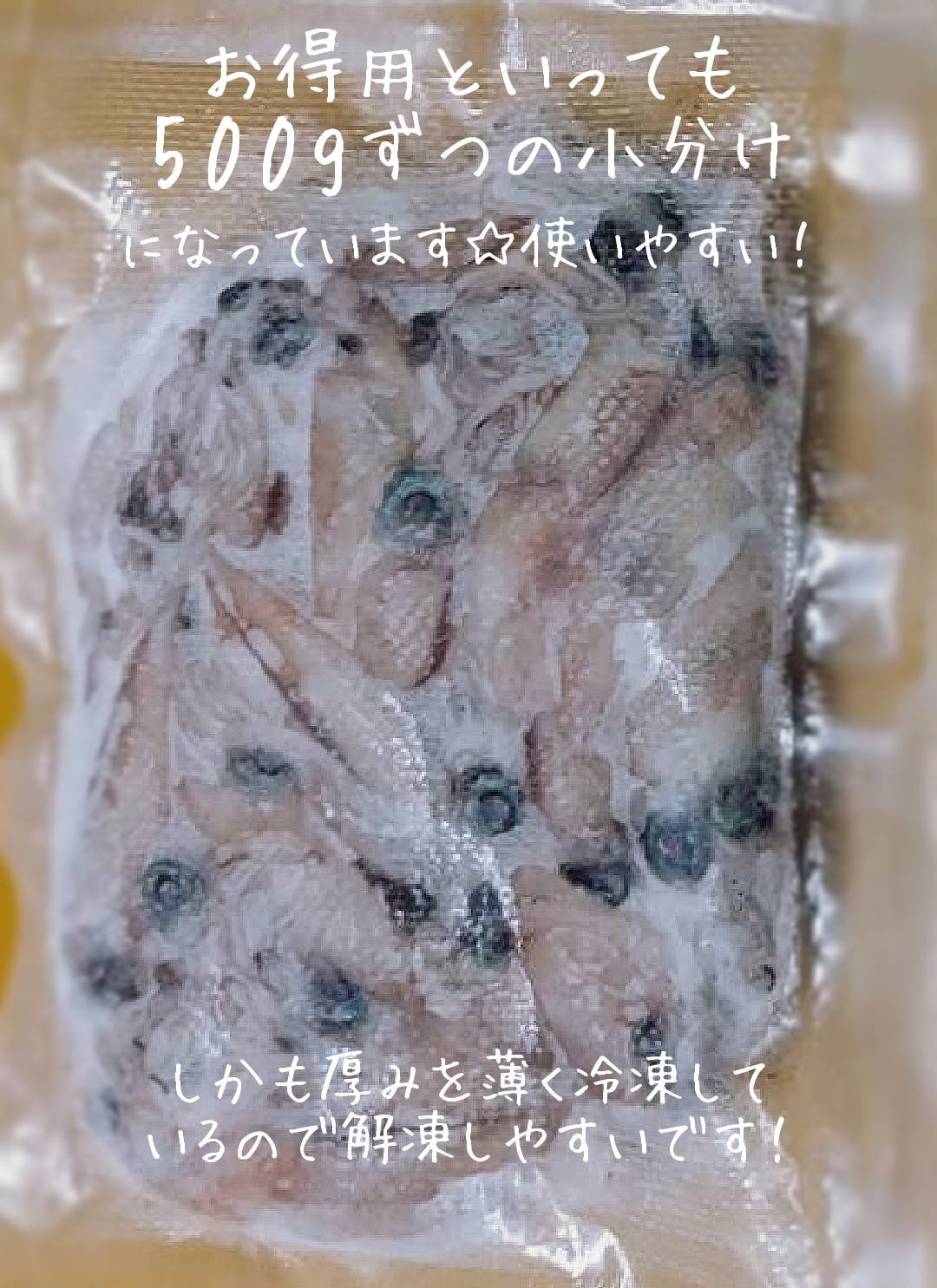 買取 釣り餌用冷凍ホタルイカ 富山湾産 約200g❎54 | artfive.co.jp