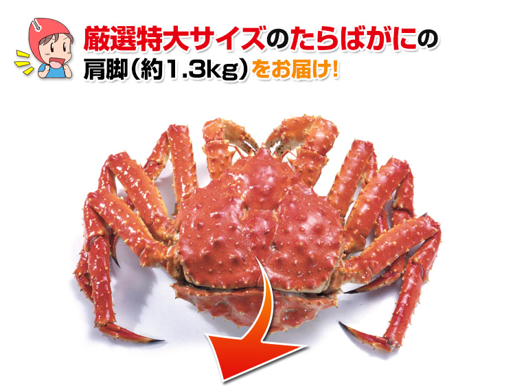 特大7l生たらば肩脚 1肩 約1 3kg 生タラバガニ 生タラバ蟹 生たらば蟹 特大 かに カニ 蟹 たらば蟹 タラバ蟹 タラバガニ タラバ Ocrmglobal Com