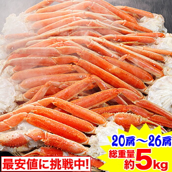 期間限定!!クーポンで13,800円★最安値に挑戦中！★★2Lボイルずわい肩脚20～26肩(総重量約5kg)<br>［ 脚肩 ボイル済み 茹で ボイルずわい ボイルズワイ ボイルずわい蟹 ずわい蟹 ズワイ蟹 ズワイ ］