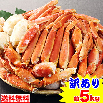 訳あり折れボイルずわいがに（約5kg）<br>［ 脚肩 ボイル済み 茹で ボイルずわい ボイルズワイ ボイルずわい蟹 ずわい蟹 ズワイ蟹 ズワイガニ ズワイ ］