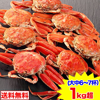 期間限定!!クーポンで5,800円★【境港厳選】冷凍浜茹でセコガニ　大中６～７杯（１ｋｇ超）　松葉ガニメス [松葉がに かに姿 お歳暮]