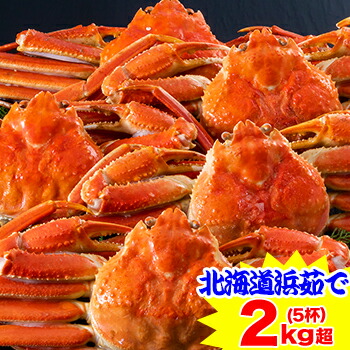 北海道紋別浜茹でずわいがに姿5杯(約2kg)［ 丸ごと ボイル済み 茹で ボイルずわい ボイルズワイ ボイルずわい蟹 ずわい蟹 ズワイガニ ズワイ かに ］