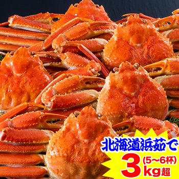 北海道紋別浜茹で ずわいがに姿5～6杯（約3kg）