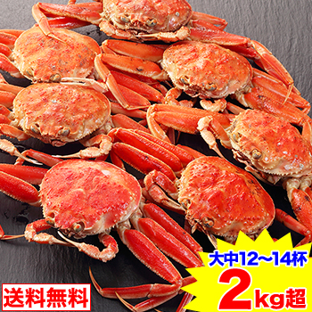 期間限定!!クーポンで10,900円★【境港厳選】冷凍浜茹でセコガニ　大中12～14杯（2kg超）松葉ガニメス [松葉がに かに姿 お歳暮]
