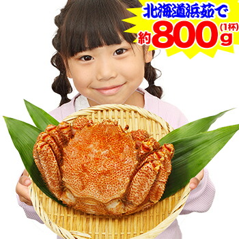 特大 北海道浜茹で毛がに姿1杯(約800ｇ)