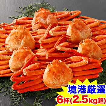 【境港厳選】浜茹で紅ずわいがに姿6杯（2.5kg超）