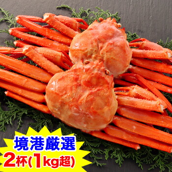 期間限定!!クーポンで3,900円★【境港厳選】浜茹で大型紅ずわいがに姿2杯（1kg超）