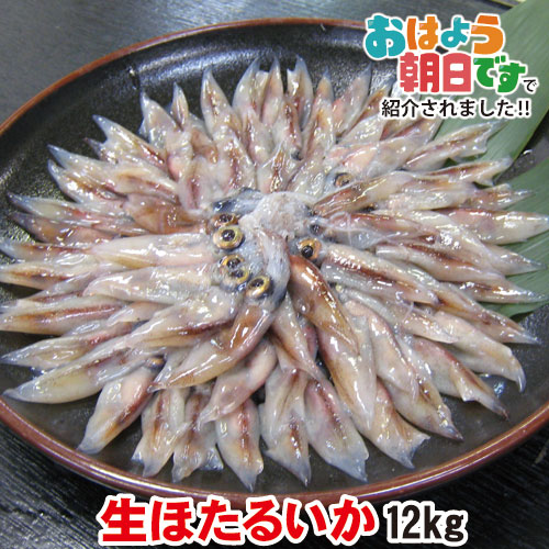最安値に挑戦 生ほたるいか 新物 A級品 12kg 250g 48パック 送料無料 兵庫県産 生冷凍 ほたるいか ホタルイカ 朝獲れ 季節限定 お刺身用 刺身 刺し身 生食 蛍烏賊 いか イカ 烏賊 生ホタルイカ お取り寄せ グルメ 母の日 父の日 当店自ら競り落とした兵庫県産ホタルイカを