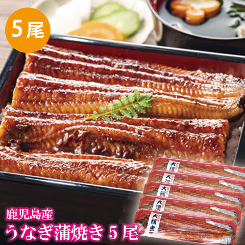 鹿児島産 うなぎ蒲焼き 5尾 約220g 5尾 冷凍 Cdm Co Mz