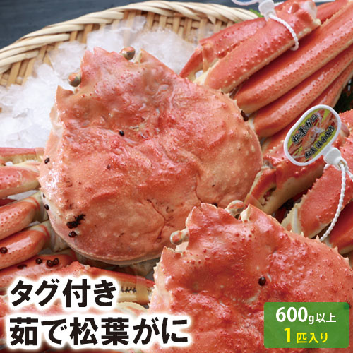 【25-018】茹で松葉がに　600g以上　(冷凍)　【松葉かに】【松葉ガニ】【まつばかに】【香住】