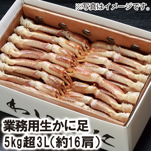 【24-040】業務用生ずわいかに足 5kg超3L （約16肩）カニ ズワイガニ 送料無料 かに 蟹 ギフト お取り寄せグルメ