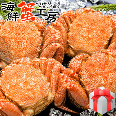毛ガニ 北海道 オホーツク海産 毛がに500g前後 4尾 ボイル冷凍 毛がに ギフト送料無料 ボイル カニ お取り寄せグルメ あす楽 ご挨拶 バースデー お土産お返し ありがとう 御祝 誕生日祝 送料無料限定セール中