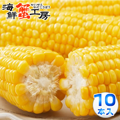 とうもろこし 味来 10本入 約4.3kg 北海道 <br>十勝 産地直送 トウモロコシ コーン <br>とうきび 獲れたて みらい 玉蜀黍 <br>プレゼント 贈り物 お取り寄せ 北海道 <br>グルメ 送料無料 8月中旬以降順次発送 <br>配送日指定不可 同梱不可 代引不可