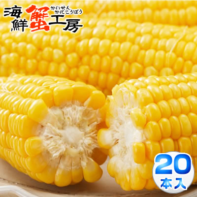 とうもろこし 味来 20本 約8.6kg 北海道 十勝 産地直送 <br>トウモロコシ コーン とうきび 獲れたて 新鮮 玉蜀黍 送料無料<br>プレゼント 贈り物 お取り寄せ グルメ 8月中旬以降順次発送 <br>配送日指定不可 同梱不可 代引不可