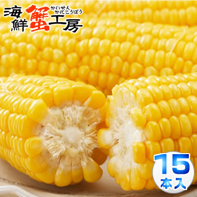 とうもろこし 味来 15本 約6.5kg 北海道 <br>十勝 産地直送 トウモロコシ コーン <br>とうきび 獲れたて みらい 玉蜀黍 <br>プレゼント 贈り物 お取り寄せ 北海道 <br>グルメ 送料無料 8月中旬以降順次発送 <br>配送日指定不可 同梱不可 代引不可