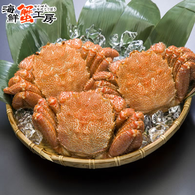 訳あり 太平洋産 ボイル 毛がに 300g前後 3尾 かに カニ 蟹 毛ガニ 毛蟹 蟹味噌 自宅用