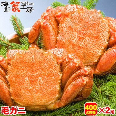 北海道 オホーツク海産 ボイル 毛がに 400g前後 2尾 <br>かに カニ 蟹 毛ガニ 毛蟹 蟹味噌 グルメ ギフト 御祝 御礼 <br>内祝 誕生日祝 母の日 父の日