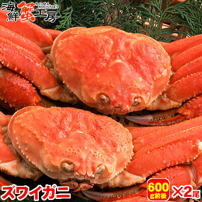 ボイル ズワイガニ 姿 600g前後 2尾 カニ 蟹　かに ずわいがに ずわい蟹 ズワイ蟹 北海道 グルメ ギフト 御祝 御礼 内祝 誕生日祝 残暑見舞 お中元 父の日 母の日