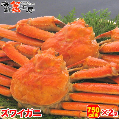 ボイル ズワイガニ 姿 750g前後 2尾 カニ 蟹　かに ずわいがに ずわい蟹 ズワイ蟹 北海道 グルメ ギフト 御祝 御礼 内祝 誕生日祝 お中元 残暑見舞 父の日 母の日