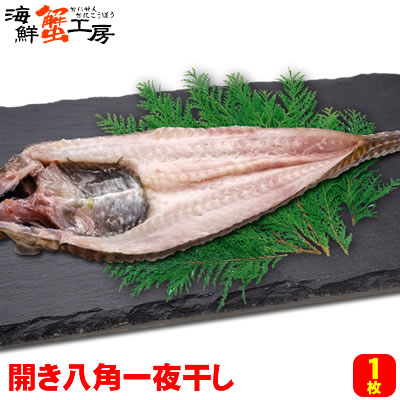 【楽天市場】北海道産 開き八角 一夜干し 1枚 干物 焼き魚 晩酌 おかず はっかく 開きハッカク 北海道加工 グルメ 誕生日祝 御礼 内祝 ...