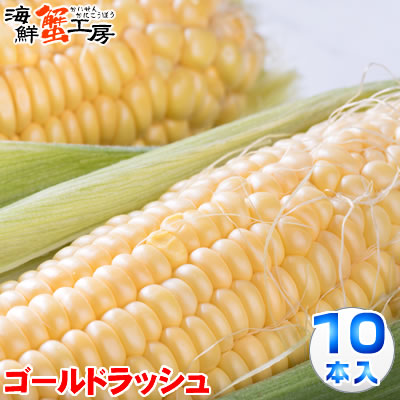 とうもろこし ゴールドラッシュ 10本 約4.3kg 北海道 十勝 <br>産地直送 トウモロコシ コーン とうきび 獲れたて 新鮮 玉蜀黍 <br>送料無料 プレゼント 贈り物 お取り寄せ グルメ <br>8月中旬以降順次発送 配送日指定不可 同梱不可 代引不可