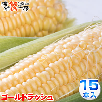 とうもろこし ゴールドラッシュ 15本 約6.5kg 北海道 十勝 <br>産地直送 トウモロコシ コーン とうきび 獲れたて 新鮮 玉蜀黍 <br>送料無料 プレゼント 贈り物 お取り寄せ グルメ <br>8月中旬以降順次発送 配送日指定不可 同梱不可 代引不可
