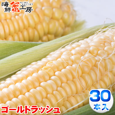 とうもろこし ゴールドラッシュ 30本 約13kg 北海道 十勝 <br>産地直送 トウモロコシ コーン とうきび 獲れたて 新鮮 玉蜀黍 <br>送料無料 プレゼント 贈り物 お取り寄せ グルメ <br>8月中旬以降順次発送 配送日指定不可 同梱不可 代引不可