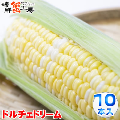 とうもろこし ドルチェドリーム 10本 約4.3kg 北海道 十勝 <br>産地直送 トウモロコシ コーン とうきび 獲れたて 新鮮 玉蜀黍 <br>送料無料 プレゼント 贈り物 お取り寄せ グルメ <br>8月中旬以降順次発送 配送日指定不可 同梱不可 代引不可
